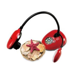 Lumens DC193 caméra de documents Rouge 25,4 / 3 mm (1 / 3") CMOS USB 2.0