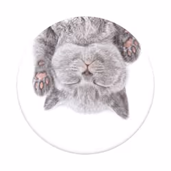PopSockets Cat Nap, Lecteur e-book, Mobile/smartphone, Tablette / UMPC, Support passif, Voiture, Intérieure, Extérieure, Mult ...