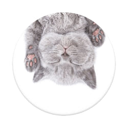 PopSockets Cat Nap Support passif Lecteur e-book, Mobile/smartphone, Tablette / UMPC Multicolore