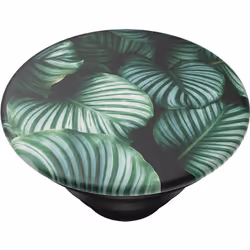 PopSockets POPS801677 accessoire d'étui de téléphone mobile