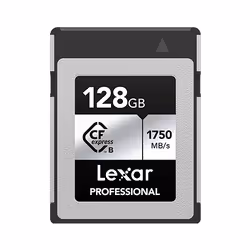 Lexar Professional SILVER