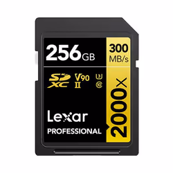 Lexar LSD2000256G-BNNNG, 256 Go, SDXC, Classe 10, 300 Mo/s, 260 Mo/s, Class 3 (U3)