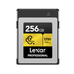 Lexar CFexpress Type B 256 Go