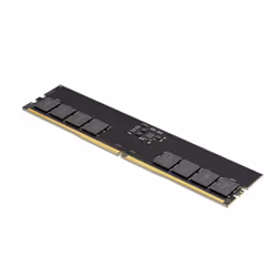 Lexar LD5U16G56C46ST-BGS module de mémoire 16 Go 1 x 16 Go DDR5 5600 MT/s - Vue supplémentaire 2