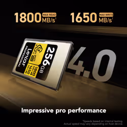 Lexar LCAEXG4256G-RNENG mémoire flash 256 Go CFexpress Type A - Vue supplémentaire 2