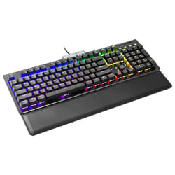EVGA Z15 RGB clavier USB Noir