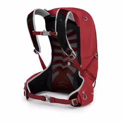 Osprey Talon 22 20 L