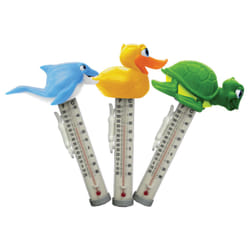 Kokido K785DIS/6P accessoire pour piscine thermomètre