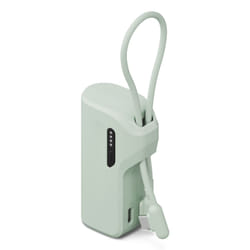 Cygnett CY5355PBCHE banque d'alimentation électrique 5000 mAh Vert