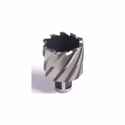 Fraise à carotter courte 25 mm pour perceuse magnétique, diamètre 14 mm, avec embranchement standard Weldon 19. Commandez l'é ...