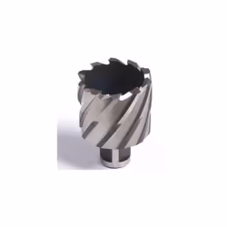 Fraise à carotter courte 25 mm pour perceuse magnétique, diamètre 20 mm, avec embranchement standard Weldon 19. Commandez l'é ...