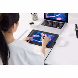 XPPen XP-Pen Artist 12 2nd Gen tablette graphique Noir, Bleu, Vert, Rose 5080 lpi 263,23 x 148,07 mm USB - Vue supplémentaire 5