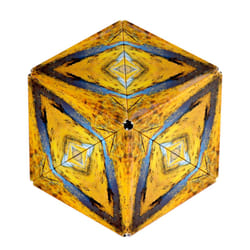 Shashibo Wild Series Puzzle magnétique Formes