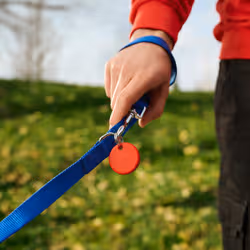 Chipolo RWS.0000003.000 Traqueur GPS et localisateur Universel Recherche Rouge - Vue supplémentaire 6