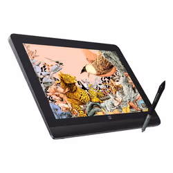 XPPen Artist Pro 16 (Gen 2), Avec fil, 5080 lpi, 344,68 x 215,42 mm, USB, 1 cm, Stylo, Tactile