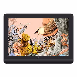 XPPen Artist Pro 16 (Gen 2) tablette graphique Noir, Gris 5080 lpi 344,68 x 215,42 mm USB