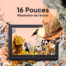 XPPen Artist Pro 16 (Gen 2) tablette graphique Noir, Gris 5080 lpi 344,68 x 215,42 mm USB