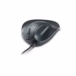 Hippus HandShoe Right Medium, Droitier, Optique, USB Type-A, 1500 DPI, Noir