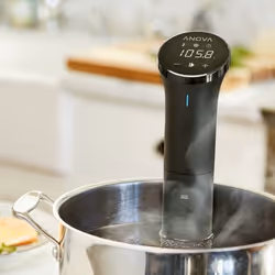 Anova NANO Thermoplongeur sous vide