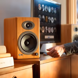 Audioengine A5+ WIRELESS haut-parleur 2-voies Marron Sans fil 50 W