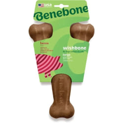 BeneBone Jouet pour Chien
