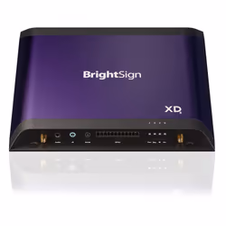 BrightSign XD235, Violet, H.264, H.265, M2TS, MKV, MOV, MP4, TS, 3840 x 2160 pixels, SSD, 256 Go, 4K Ultra HD