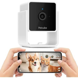Caméra de Surveillance pour Animaux - PETCUBE - Vision Nocturne - Sans Fil - Intérieur - 2MP
