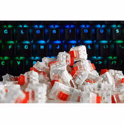Glorious PC Gaming Race KAI-RED interrupteur à clé Rouge 120 pièce(s)