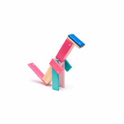 TEGU Magnetic Wooden Blocks