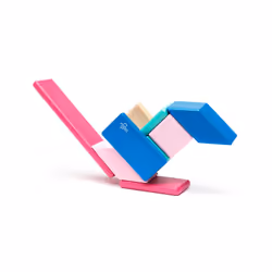 TEGU Magnetic Wooden Blocks