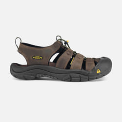KEEN Newport Mâle Adulte Marron