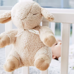 Cloud B Sleep Sheep