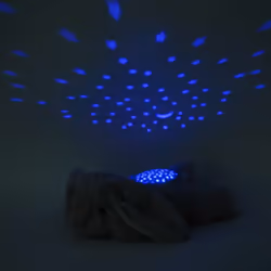 Cloud B CB7472-BUG lumière de nuit pour bébé Autonome Gris