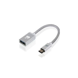 iogear G2LU3CAF10-SIL câble USB 0,1 m USB C USB A Argent