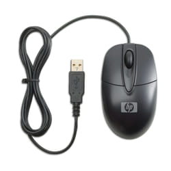 HP RH304AA souris Ambidextre USB Type-A Optique