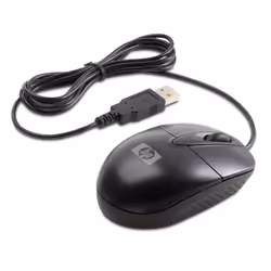 HP RH304AA souris Ambidextre USB Type-A Optique