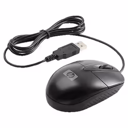 HP RH304AA souris Ambidextre USB Type-A Optique