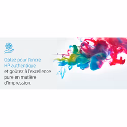 HP 300 cartouche d'encre noir authentique