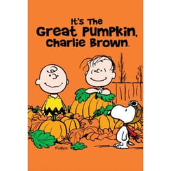 Warner Home Video It's The Great Pumpkin, Charlie Brown, DVD Anglais