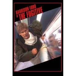 Warner Home Video The Fugitive, DVD Anglais