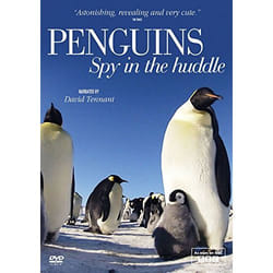 Warner Home Video 1000440601 Film DVD Anglais