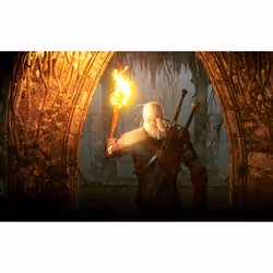 Warner Bros The Witcher 3: Wild Hunt Game of the Year Anglais PlayStation 4