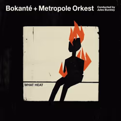 ImportCDs What Heat, Musique du monde, Vinyl, Support physique, Adulte, 2 disques, 04/10/2018