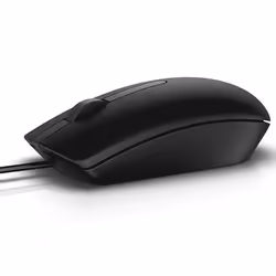 DELL MS116, Ambidextre, Optique, USB Type-A, 1000 DPI, Noir