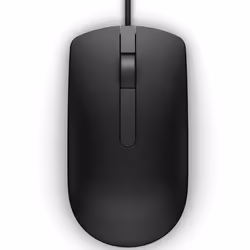 DELL MS116 souris Ambidextre USB Type-A Optique 1000 DPI