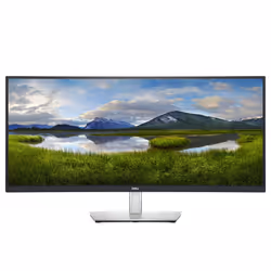 DELL Écran incurvé 34 USB-C - P3421W, 86,7 cm (34.1"), 3440 x 1440 pixels, Quad HD, LCD, 8 ms, Noir, Argent