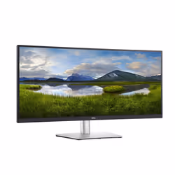 DELL Écran incurvé 34 USB-C - P3421W