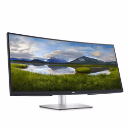 DELL Écran incurvé 34 USB-C - P3421W