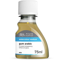Winsor & Newton 3021763 Additif et médium pour peinture créative 75 ml