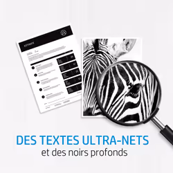 HP 64X pack de 2 toners LaserJet noir haute capacité authentiques - Vue supplémentaire 4
